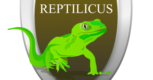 Рептиликус. Reptilicus. Reptilicus программа. Reptilicus.net. Reptilicus Android.