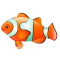 Clownfish