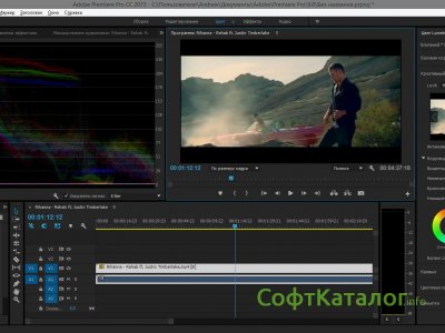 avs video editor 9.5